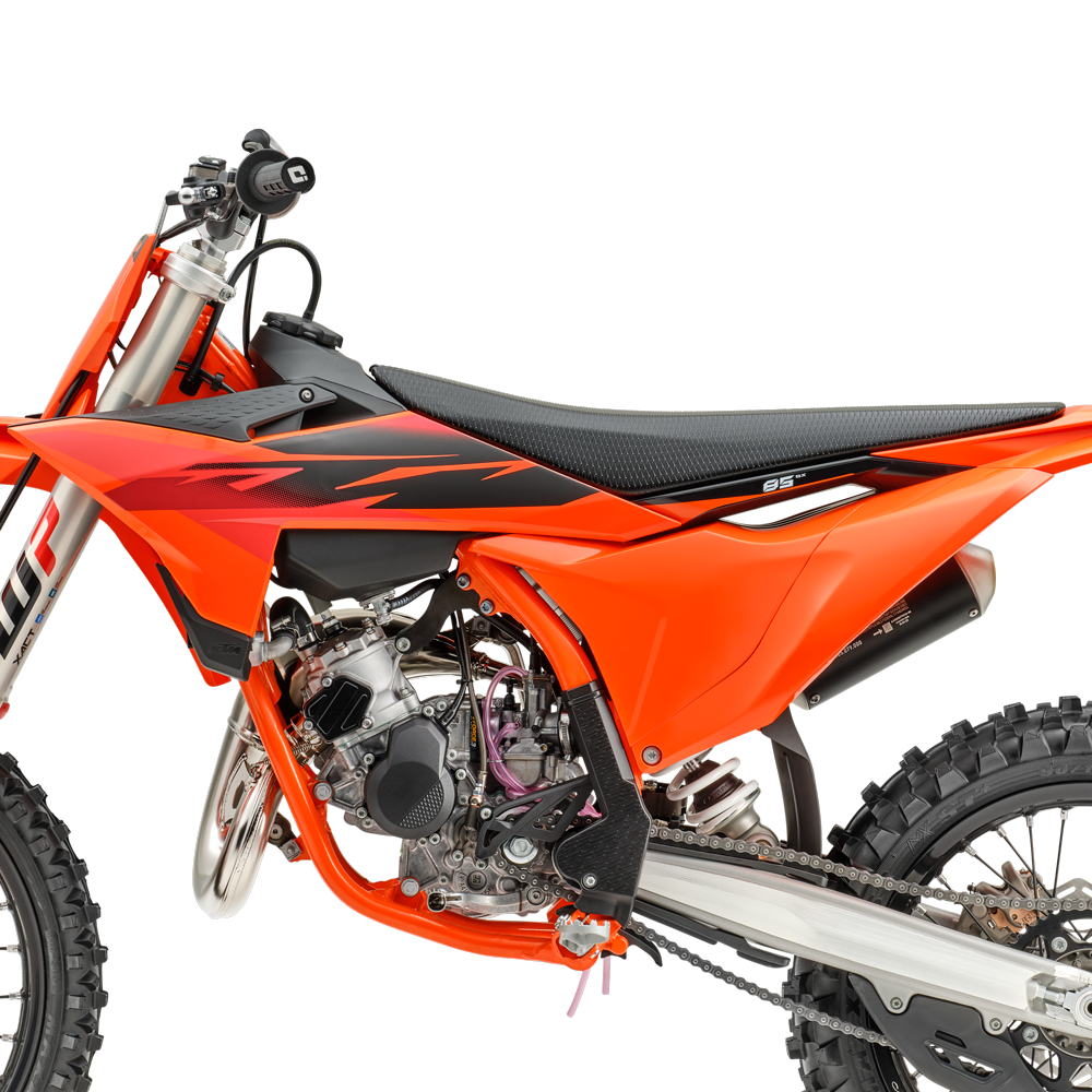 BRINGING THE BACKBONE