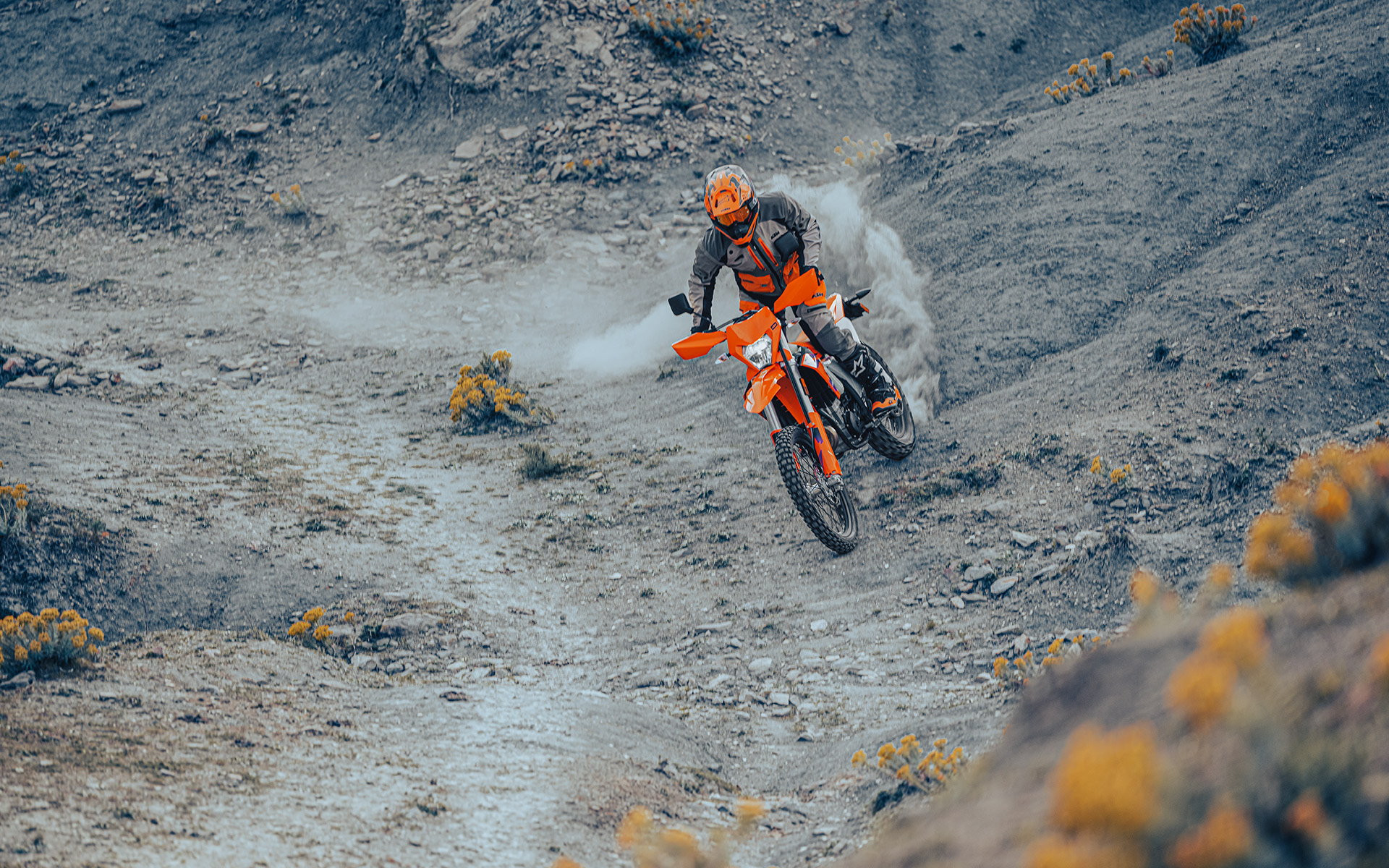 www.ktm.com